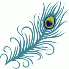 long peacock feather