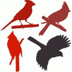 cardinal set