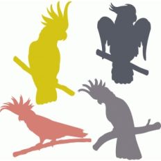 cockatoo set