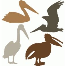 pelican set