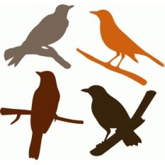 rufous bellied thrush set