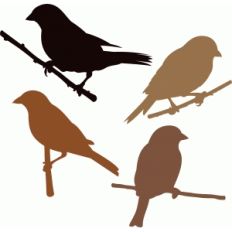 sparrow set