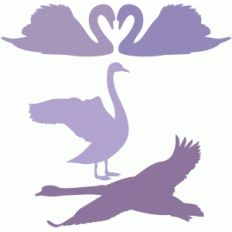 swan set