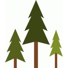 evergreens