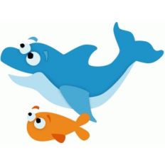dolphin and friend