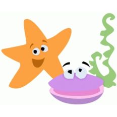 starfish and clam