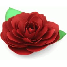 3d rose