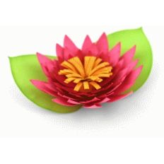 3d water lily