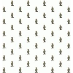 barn owl pattern