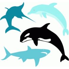 sea creatures