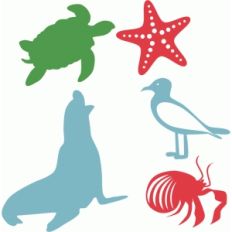 beach creatures