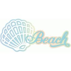 seashell and beach
