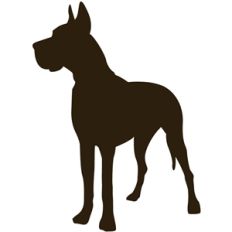 dog - great dane