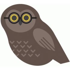 smart owl