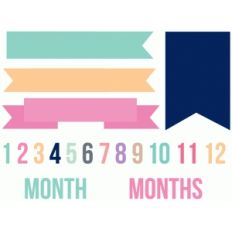 baby month banner set