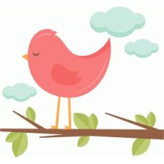 bird in tree