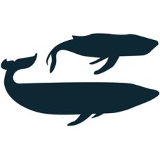 whales