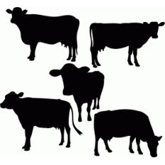 cow set