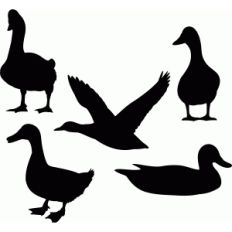 duck set