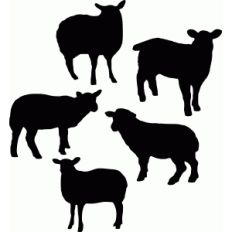 sheep set