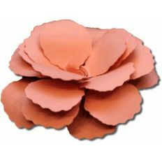 rolled flower one