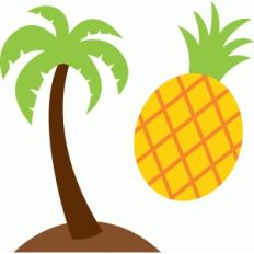 palm tree and pineapple