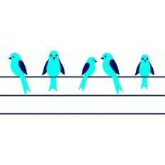 birds border