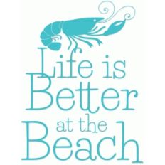 better at the beach phrase