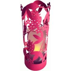 strawberries lantern