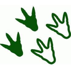 dinosaur footprints