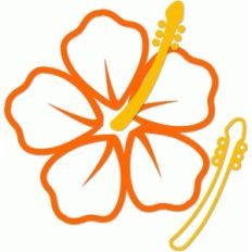 outlined hibiscus