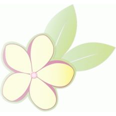 plumeria