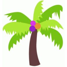 palm tree