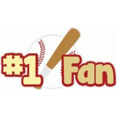 baseball fan