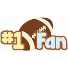 football fan