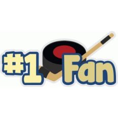 hockey fan