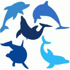 dolphins set