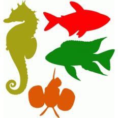 ornamental fish
