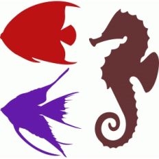 ornamental fish