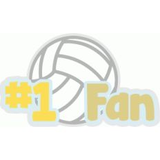 volleyball fan