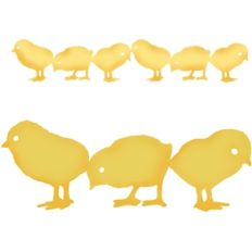3 chick border