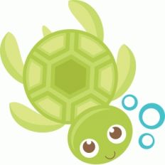 sea turtle