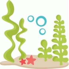 underwater scene