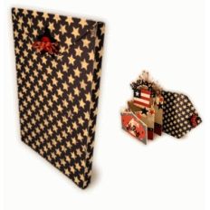 firecracker 4th card box envelope