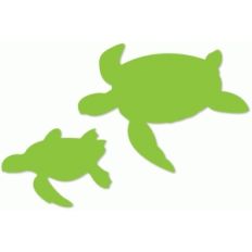 sea turtles