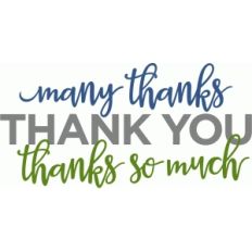 many thanks thank you