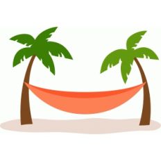 palm tree hammock