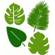 4 tropical leaves