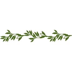 vine border