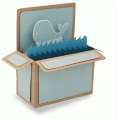 whale rectangle box card